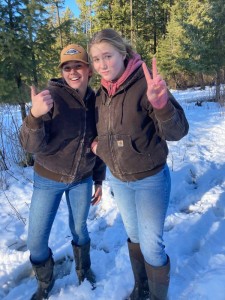 hadley and lily and steers